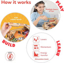 Smartivity DIY Pinball Machine Toy for Ages 8-99 Year Old | Award Winning Arcade Game for Boys & Girls | Birthday Gift Ideas for Kids & Adults | STEM Toys I Fun Family & Party Game by TinyTreasures Baby Boutique
