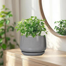 G EPGardening Modern Ceramic Planter - 7 Inch Round Modern Plant Pot Indoor with Drainage and Ceramic Tray Indoor Outdoor for Flower, Vanity Decor, Birthday Gifts, Grey by GreenHaven Gardens