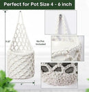 2PK Wall Planters for Indoor Plants, Macrame Plant Hanger | Wall Planter, Plant Hanger, Hanging Planter (2PK, for 6 inch Pot) by CozyNest Decor