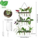 Ivolador Hanging Plant Propagation Tubes,3 Tiered Wall Hanging Terrarium Flower Planter Vase for Hydroponic Plants Cutting Home Office Garden Decor Plant Lover Gift by GreenHaven Gardens
