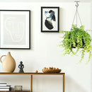AJART Ceiling Hooks for Hanging Plants: Iron Plant Hanger for Wall Mount - 2 Pack/2.5 Inch Ceiling Hook for Indoor Use by GreenHaven Gardens