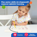 2 in 1 Magnetic Number Tracing Board, Magnetic Drawing Board Numbers 1-20 Writing Board Preschool Handwriting Learning Toys Alphabet & Math STEM Educational Toy for Toddlers Kids by TinyTreasures Baby Boutique