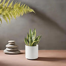 Docrin Ceramic Planters Indoor, 8 Inch Plant Pot with Drainage Holes for Home/Office - White Honeycomb by GreenHaven Gardens
