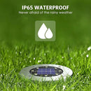 Solar Outdoor Lights 12 Packs, Waterproof Solar Pathway Lights Bright In-Ground Lights Lighting Decor for Garden, Lawn, Patio, Yard, Driveway, Step and Walkway Warm Light by GreenHaven Gardens