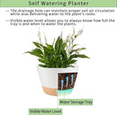 2 Pack 10 Inch Hanging Planters for Indoor Outdoor Plants, Hanging Plant Flower Pot Basket with Drainage Hole with Removable Tray&Hooks Self Watering Plant Pot for Hanging Plants, White by CozyNest Decor