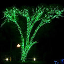 Dazzle Bright Green Christmas String Lights, 100 LED 33 FT Halloween Lights with 8 Modes, Waterproof Christmas Decorations for Indoor Outdoor Holiday Party Home Tree Decor by TinyTreasures Baby Boutique