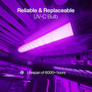 Babyfeel UV Light Sanitizer | UV Box Sanitizer | Conveniently Sanitizes in Minutes | Large Capacity | No Cleaning Required | Touch Control by TinyTreasures Baby Boutique