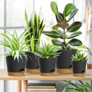 7/6.5/6/5.5/5/4 inch Self Watering Pots for Indoor Outdoor Plants, 6 Pack Plastic Flower Planters with Drainage Holes and Removable Saucers, Plant Pots with Wicking Rope, Black Brown by GreenHaven Gardens