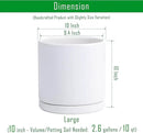 D'vine Dev Set of 2 Plants Pots, 10 Inch Ceramic Planter Pot for Plants with Drainage Hole and Saucer, White, 94-V-E-1 by GreenHaven Gardens