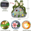 Nacome Solar Garden Outdoor Statues Frog with Succulent and 7 LED Lights - Lawn Decor for Patio, Balcony, Yard Ornament - Unique Housewarming Gifts by GreenHaven Gardens