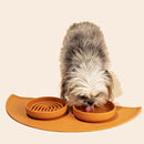 The Slowdown Bowl Silicone Slow Feeder for Cats & Dogs, Slow Eating Mealtime Solution with Modern Lick Mat Design, Reduces Gulping, Fits 1 Cup 6” Across x 1.25” Tall, Small-Honey by CozyNest Decor