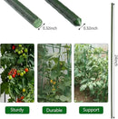 Garden Plant Stakes 24 Inch 2Ft Steel Plant Stick Support, 25 Pack Tomato Stakes for Growing Climbing Plants by CozyNest Decor