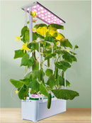 Large Hydroponics Growing System kit with Trellis,Smart Indoor Hydroponic Gardening System with LED Grow Light, Indoor Hydroponic Grow Kit for Tomato,Pepper,Cucumbers(7L,Pump) by GreenHaven Gardens