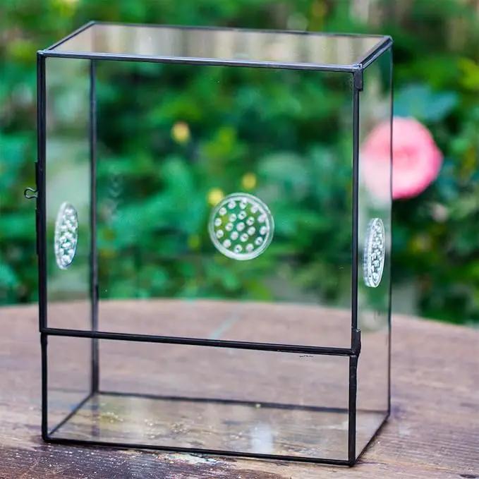 NCYP Glass Terrarium with Front Opening Door and 3 Vents for Insects, Snail, Spider, Glass Enclosure - 8"x4.5"x10" Clear Closed Plant Greenhouse Box (Terrarium Only), photo 4 of 7