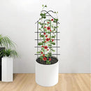 ARIFARO 32'' Metal Garden Trellis for Climbing Plants, Indoor/Outdoor Sturdy Plant Trellis for Potted Plants,House Plants, Climbing Vines, Pack of 4, Black by GreenHaven Gardens