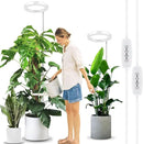 LORDEM 10" Grow Light for Indoor Plants, Full Spectrum Plant Lamp with160 LEDs, 4H/8H/12H Timer, 10 Dimmable Levels, 3 Spectrum Modes, Height Adjustable 61", Ideal for Large Tall Plants, Pack of 2 by GreenHaven Gardens