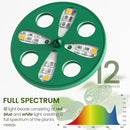 MIXC 6-Pack Seed Starter Tray Kit with Plant Light Seedling Trays with Adjustable Humidity Domes & Clear Cell Trays 12 Full Spectrum LED Beads for Indoor Plant Growth (Green) by GreenHaven Gardens