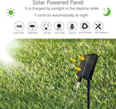 220 LED Solar Firefly Bunch Lights, 8 Flashing Modes, Fairy Copper Wire Waterproof String Lights, Decorative Vine Solar Watering Can Lights, Outdoor Garden Christmas Decor Lights (Warm White) by GreenHaven Gardens