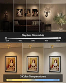 EZVALO LED Spotlight Indoor, 5500mAh Rechargeable Battery Picture Lights, Wireless Mini Art Accent Spot Lights with Remote, Uplighting Indoor for Plants Display Painting Artwork Portrait (1Pack-Gold) by CozyNest Decor