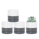 D'vine Dev Set of 4 Small Ceramic Plant Pots, 3.5 Inch Succulent Planter Pot for Plants with Drainage Hole and Saucer, White/Speckled Grey, 94-X-A-6 by GreenHaven Gardens