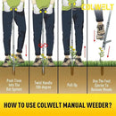 Colwelt Weed Remover Tool 39’’, Weed Puller Root Remover with Thick Steel Claw, Long Handled Weeding Tool with Easy Foot Ejector, Stand Up Garden Weeder Tool for Lawn Grass Dandelion Removal by GreenHaven Gardens