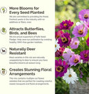 Eden Brothers Purple Rain Flower Mixed Seeds for Planting, 1/4 lb, 120,000+ Seeds with Zinnia Purple Prince & Violet Queen, Cosmos, Attracts Pollinators, Plant in Spring, Zones 3, 4, 5, 6, 7, 8, 9, 10 by GreenHaven Gardens