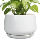 G EPGardening Ceramic Planter 9 Inch - Plant Pots with Drainage and Ceramic Saucer, Flower Pots for Indoor Plants, Modern Outdoor Planter, Living Room Decor, Gifts for Plant Lovers, White by GreenHaven Gardens