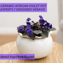 African Violet Pots 6 Inches Ceramic, Effortless Self Watering Pots for Indoor Plants for Busy Plant Lovers, Easy Plant Self Watering Pot, Plant Pots, Flower Pot, Plant pots Indoor by GreenHaven Gardens