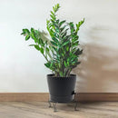 Self Watering Pots for Indoor Plants,12 inch Planters with Drainage Holes Plastic Flower Pots with Deep Reservoir, Grey Speckles by CozyNest Decor