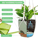 Hanging Planters for Indoor Outdoor Plants, 2 Pack Self Watering Hanging Pot with Drainage Holes, Removable Tray & 2 Kinds of Plant Hangers, 8'' Hanging Flower Pots for Home Garden Decor, Green by GreenHaven Gardens