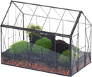 NCYP Geometric Glass Terrarium with Lid for Succulent, Small Cactus - Handmade Clear Closed House Shape Box - Home Indoor Tabletop Garden Decor, Black 9.4" x 5.5" x 7.3" (No Plants) by GreenHaven Gardens