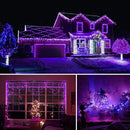 HOME LIGHTING 66ft Halloween Decorative Mini Lights, 200 LED Green Wire Fairy Starry String Lights Plug in, 8 Lighting Modes, for Indoor Outdoor Xmas Tree Wedding Party Decoration (Purple) by TinyTreasures Baby Boutique