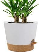 Self Watering Pots for Indoor Plants,12 inch Planters with Drainage Holes Plastic Flower Pots with Deep Reservoir, White with Brown by CozyNest Decor