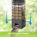 KRUOO Metal Squirrel Proof Bird Feeder for Outdoors Hanging,Wild Bird Feeders for Outside, 2.5 lb Capacity by CozyNest Decor