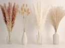 65PCS Pampas Grass Decor, Including pompas Floral, Reed Dried Grass and Bunny Tails Dried Flowers, Natural Dried Pampas Grass Bouquet for Boho Decor Wedding, Home Decoration by CozyNest Decor