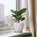 Ceramic Planter 8 Inch Plant Pot with Drainage Hole and Saucer Ceramic Pots for Indoor Plants Outdoor Large Flower Pot for Home Decor White by CozyNest Decor