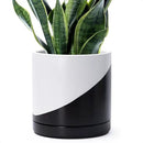 D'vine Dev 10 Inch Ceramic Planter Pot with Drainage Hole and Saucer, Indoor Cylinder Round Planter Pot, Oblique Monochrome Black and White, 94-O-E-K by GreenHaven Gardens