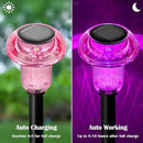 Halloween Solar Lights Outdoor 16 Pack Pink Purple LED Waterproof Mushroom Outside Lights for Yard Garden Patio Pathway Walkway Landscape Halloween Decorations by CozyNest Decor