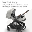 UPPAbaby Cruz V3 Stroller - from Birth + Car Seat Compatible - Full-Size, Reversible Seat - Infant Insert, Bug and Rain Shields Included - Savannah (Pearl Gray Jacquard/Carbon Frame/Chestnut Leather) by TinyTreasures Baby Boutique