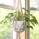 G EPGardening Ceramic Pots for Plants - 5 Inch Plant Pot Indoor with Drainage Hole and Saucer, Outdoor Flower Pot, Decorative Round Planter for Succulent Orchid Snake Plants, White by GreenHaven Gardens