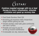 Cryosphere Massage Ball Hot Cold Roller Ball - Fast Muscle Pain Relief - Stainless Steel Balls for Heat or Ice Therapy - Feet Pain - Plantar Fasciitis- Back Ache - Foot Massager - 60 mm Ice Roller by CozyNest Decor