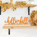 COCHIE Metal Hello Fall Sign, Orange Fall Decorations for Home, Office, Shelf, Mantel, Indoor, Autumn Decoration, Pumpkin Decor (Autumn B) by CozyNest Decor