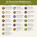 Eden Brothers All Perennial Wildflower Mixed Seeds for Planting, 5 lb, 2,400,000+ Seeds with Lupine, Shasta Daisy| Attracts Pollinators, Plant in Spring or Fall, Zones 3, 4, 5, 6, 7, 8, 9, 10 by GreenHaven Gardens