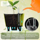 Self Watering Planters for Indoor Plants 7 inch Flower Pot with Water Level Indicator Lemon Green 3 Pack African Violet Self Watering Pots for All Orchid Agave by GreenHaven Gardens