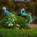 DREAMSOUL 2 Pack Peacock Solar Lights Outdoor Waterproof, Metal Outdoor Solar Lights for Yard Garden Peacock Decor by GreenHaven Gardens