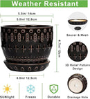G EPGardening Ceramic Pot for Plants 5.5 Inch - Ceramic Plant Pot Indoor with Drainage Hole and Saucer, Round Boho Planter for Indoor Plants Outdoor, Housewarming Gifts, Garden Office Decor, Black by GreenHaven Gardens