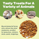 20LB Dried Black Soldier Fly Larvae, 86X Calcium Than Dried Mealworms, High Protein Non-GMO Organic Chicken Feed by GreenHaven Gardens