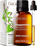 Gya Labs Peppermint Oil for Diffuser & Aromatherapy - 100% Pure Natural Peppermint Mint Essential Oils for Skin, Hair, DIY, Self-Care, Candle Making - Cooling, Minty Scent (1.02 Fl Oz) by CozyNest Decor