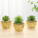Hollyone Small Succulents Artificial 3 Pcs Faux Succulents with Gold Pots Mini Fake Succulent Plants Indoor Plant Ceramic Pots for Modern Office Desk Bathroom Shelf Living Room Home Decor by GreenHaven Gardens