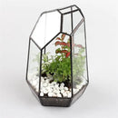 NCYP Small Glass Geometric Terrarium - 4.9 x 3.9 x 7.4 Inches Irregular Clear Planter Pot for Succulents, Cactus, Indoor Garden Tabletop Decoration, Centerpiece (No Plants, No Door) by CozyNest Decor